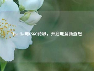 The Shy与CSGO跨界，开启电竞新遐想