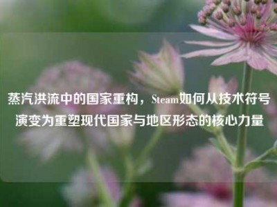 蒸汽洪流中的国家重构，Steam如何从技术符号演变为重塑现代国家与地区形态的核心力量