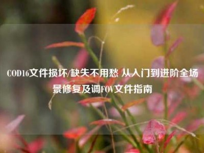 COD16文件损坏/缺失不用愁 从入门到进阶全场景修复及调FOV文件指南