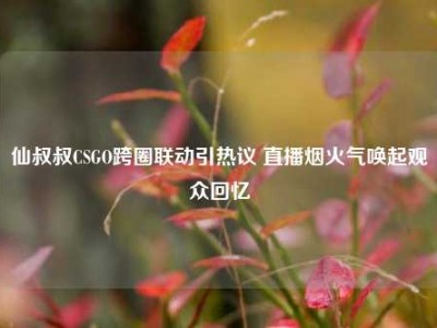 仙叔叔CSGO跨圈联动引热议 直播烟火气唤起观众回忆