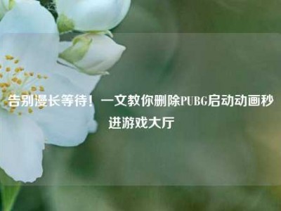 告别漫长等待！一文教你删除PUBG启动动画秒进游戏大厅
