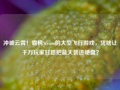 冲破云霄！霸榜Steam的大型飞行游戏，凭啥让千万玩家甘愿把蓝天装进硬盘？