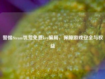 警惕Steam饥荒免费key骗局，保障游戏安全与权益