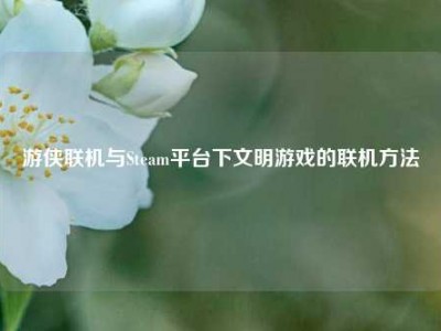 游侠联机与Steam平台下文明游戏的联机方法
