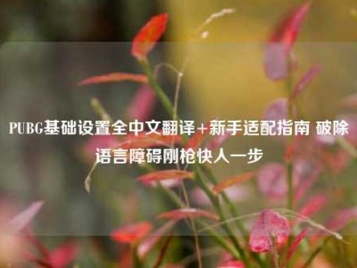 PUBG基础设置全中文翻译+新手适配指南 破除语言障碍刚枪快人一步