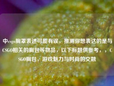 中csgo胸罩表述可能有误，推测你想表达的是与CSGO相关的胸包等物品，以下标题供参考，，CSGO胸包，游戏魅力与时尚的交融