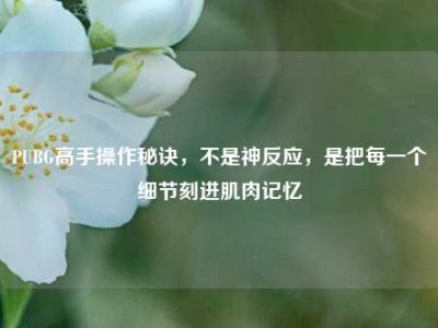 PUBG高手操作秘诀，不是神反应，是把每一个细节刻进肌肉记忆