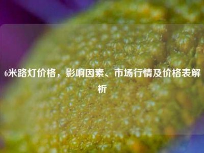 6米路灯价格，影响因素、市场行情及价格表解析