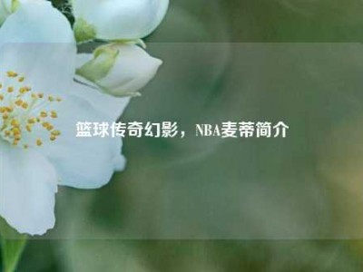 篮球传奇幻影，NBA麦蒂简介