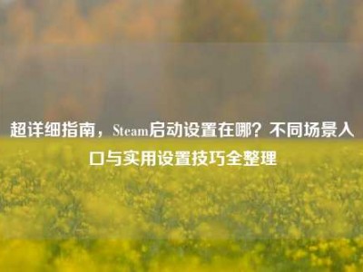 超详细指南，Steam启动设置在哪？不同场景入口与实用设置技巧全整理