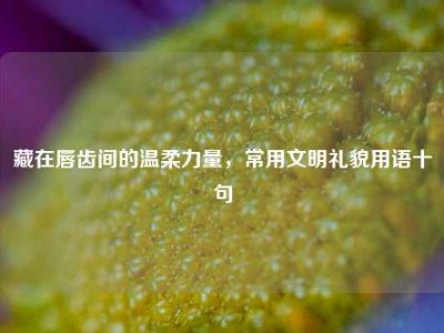 藏在唇齿间的温柔力量，常用文明礼貌用语十句