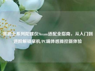 黑武士系列陀螺仪Steam适配全指南，从入门到进阶解锁掌机/PC端体感操控新体验