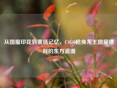 从国服印花到赛场记忆，CSGO枪身龙王图案镌刻的东方浪漫