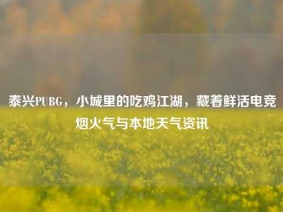 泰兴PUBG，小城里的吃鸡江湖，藏着鲜活电竞烟火气与本地天气资讯