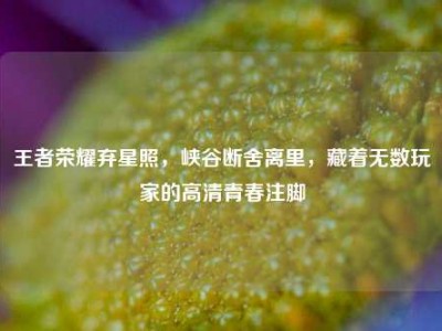 王者荣耀弃星照，峡谷断舍离里，藏着无数玩家的高清青春注脚