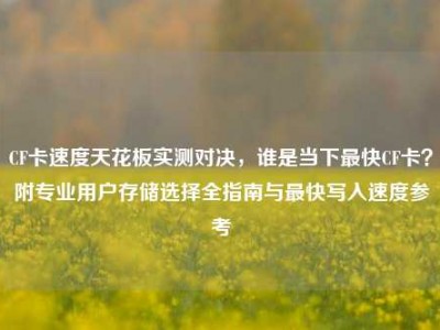 CF卡速度天花板实测对决，谁是当下最快CF卡？附专业用户存储选择全指南与最快写入速度参考