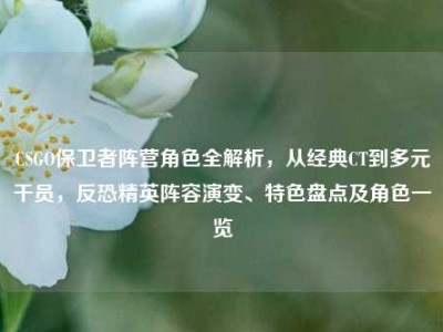 CSGO保卫者阵营角色全解析，从经典CT到多元干员，反恐精英阵容演变、特色盘点及角色一览