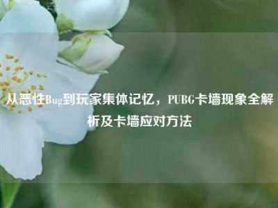 从恶性Bug到玩家集体记忆，PUBG卡墙现象全解析及卡墙应对方法