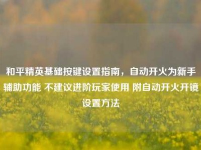 和平精英基础按键设置指南，自动开火为新手辅助功能 不建议进阶玩家使用 附自动开火开镜设置方法