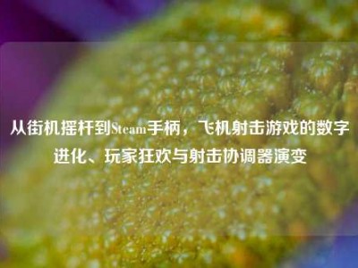 从街机摇杆到Steam手柄，飞机射击游戏的数字进化、玩家狂欢与射击协调器演变