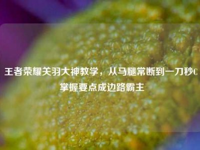 王者荣耀关羽大神教学，从马腿常断到一刀秒C 掌握要点成边路霸主