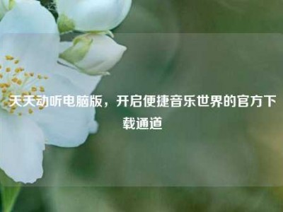天天动听电脑版，开启便捷音乐世界的官方下载通道