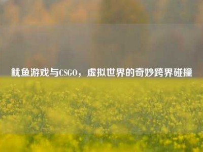 鱿鱼游戏与CSGO，虚拟世界的奇妙跨界碰撞