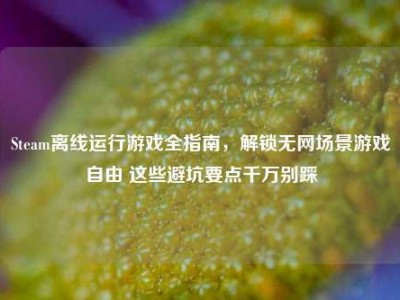 Steam离线运行游戏全指南，解锁无网场景游戏自由 这些避坑要点千万别踩