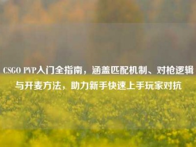 CSGO PVP入门全指南，涵盖匹配机制、对枪逻辑与开麦方法，助力新手快速上手玩家对抗