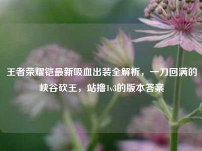 王者荣耀铠最新吸血出装全解析，一刀回满的峡谷砍王，站撸1v3的版本答案