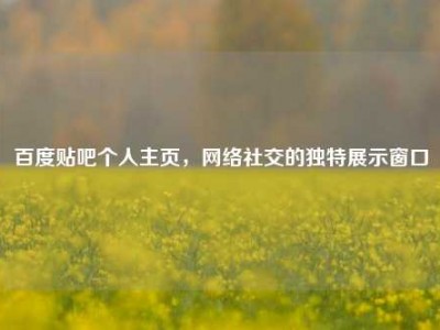 百度贴吧个人主页，网络社交的独特展示窗口