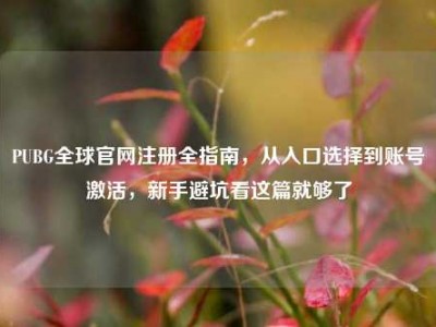 PUBG全球官网注册全指南，从入口选择到账号激活，新手避坑看这篇就够了