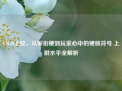 CSGO上校，从军衔梗到玩家心中的硬核符号 上尉水平全解析