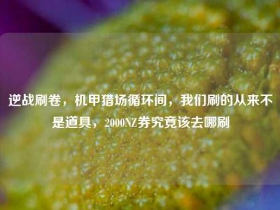 逆战刷卷，机甲猎场循环间，我们刷的从来不是道具，2000NZ券究竟该去哪刷