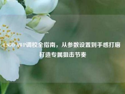 CSGO AWP调校全指南，从参数设置到手感打磨 打造专属狙击节奏