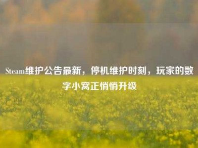 Steam维护公告最新，停机维护时刻，玩家的数字小窝正悄悄升级