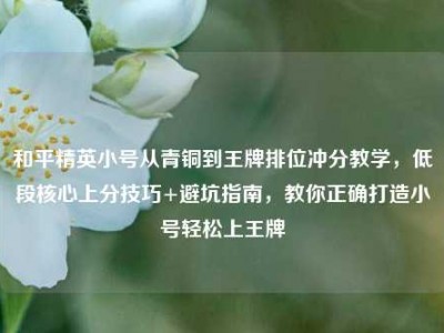 和平精英小号从青铜到王牌排位冲分教学，低段核心上分技巧+避坑指南，教你正确打造小号轻松上王牌