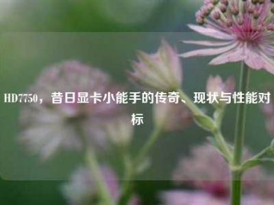 HD7750，昔日显卡小能手的传奇、现状与性能对标