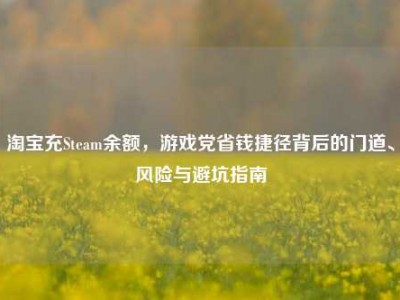 淘宝充Steam余额，游戏党省钱捷径背后的门道、风险与避坑指南