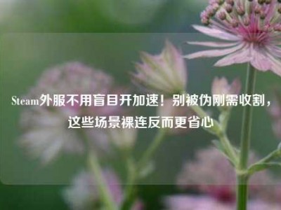 Steam外服不用盲目开加速！别被伪刚需收割，这些场景裸连反而更省心