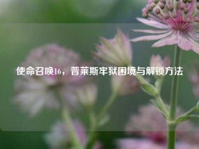 使命召唤16，普莱斯牢狱困境与解锁方法