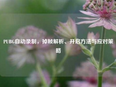 PUBG自动录制，掉帧解析、开启方法与应对策略