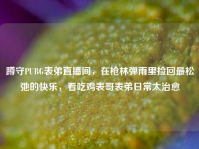 蹲守PUBG表弟直播间，在枪林弹雨里捡回最松弛的快乐，看吃鸡表哥表弟日常太治愈