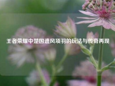 王者荣耀中楚国遗风项羽的玩法与传奇再现