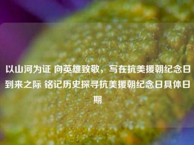 以山河为证 向英雄致敬，写在抗美援朝纪念日到来之际 铭记历史探寻抗美援朝纪念日具体日期