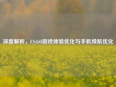 深度解析，CS:GO游戏体验优化与手机续航优化