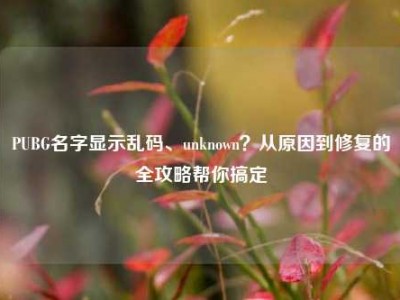 PUBG名字显示乱码、unknown？从原因到修复的全攻略帮你搞定