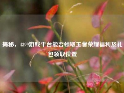 揭秘，4399游戏平台能否领取王者荣耀福利及礼包领取位置