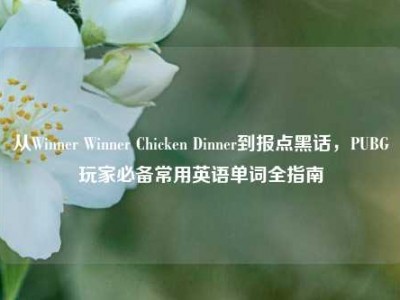 从Winner Winner Chicken Dinner到报点黑话，PUBG玩家必备常用英语单词全指南