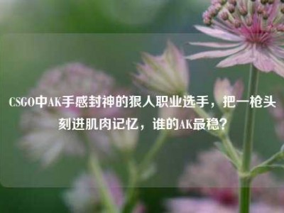 CSGO中AK手感封神的狠人职业选手，把一枪头刻进肌肉记忆，谁的AK最稳？